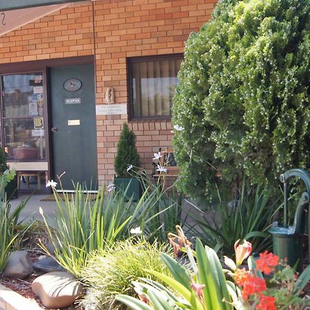 Ningana Motel Mudgee Εξωτερικό φωτογραφία