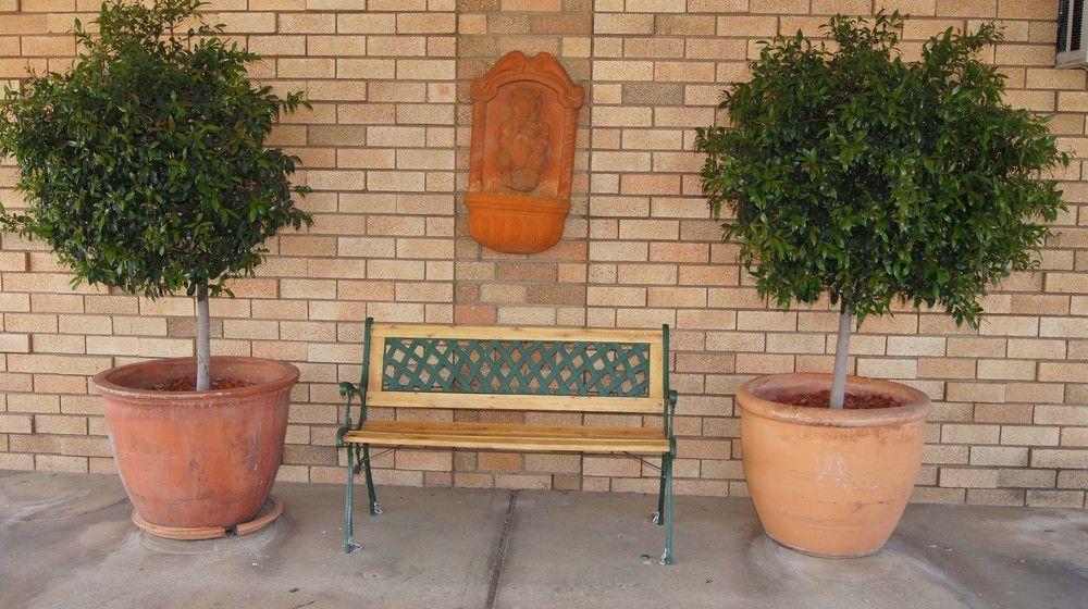 Ningana Motel Mudgee Εξωτερικό φωτογραφία